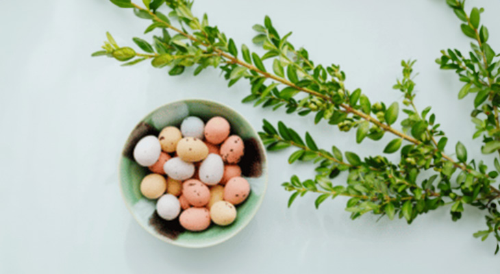 Happy Easter from Carey Moving & Storage